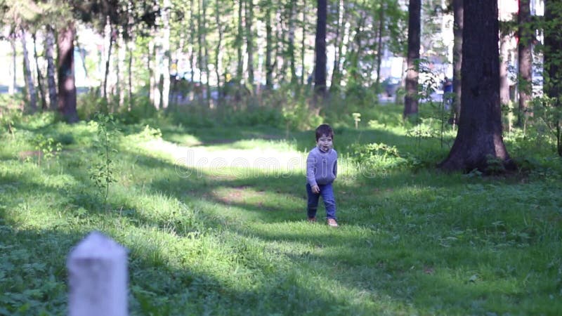 Hübscher kleiner Junge geht in Sommerpark stock footage