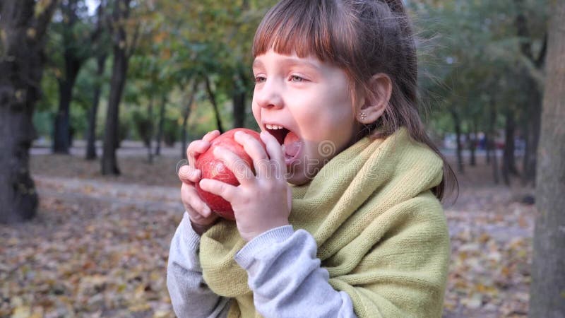 Hübsches kleines Mädchen, das versucht, großen roten Apfel im Herbstpark im Freien zu essen stock footage