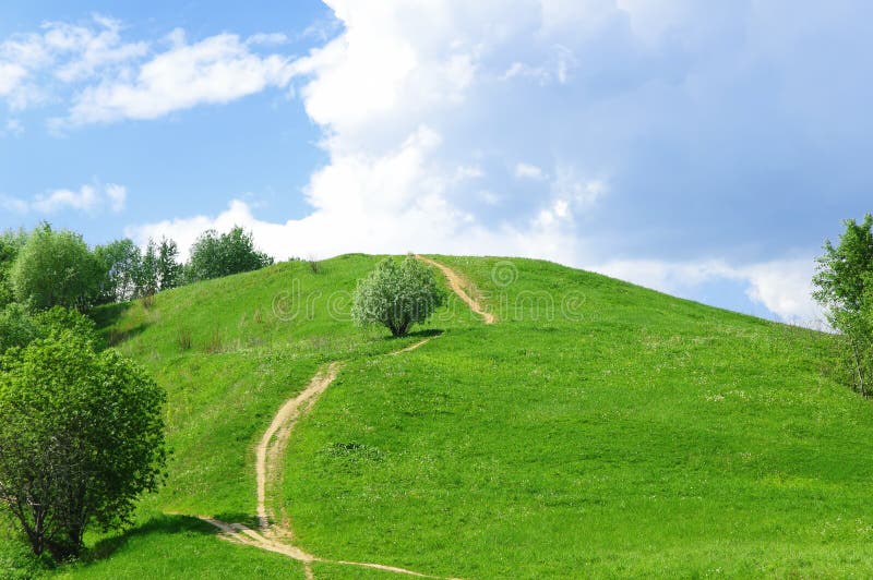 Grüner Hügel stockfotos