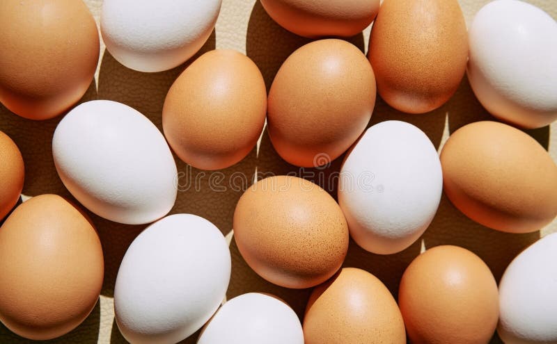 Hühnereier, weiß und braun stockfoto