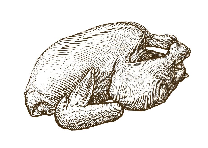 Hühnerfleisch, Bratrostskizze Nahrung, MetzgereienKonzept Von Hand gezeichnete Weinlesevektorillustration