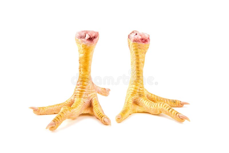 Hühnerfüße isoliert auf Weiß stockfotos