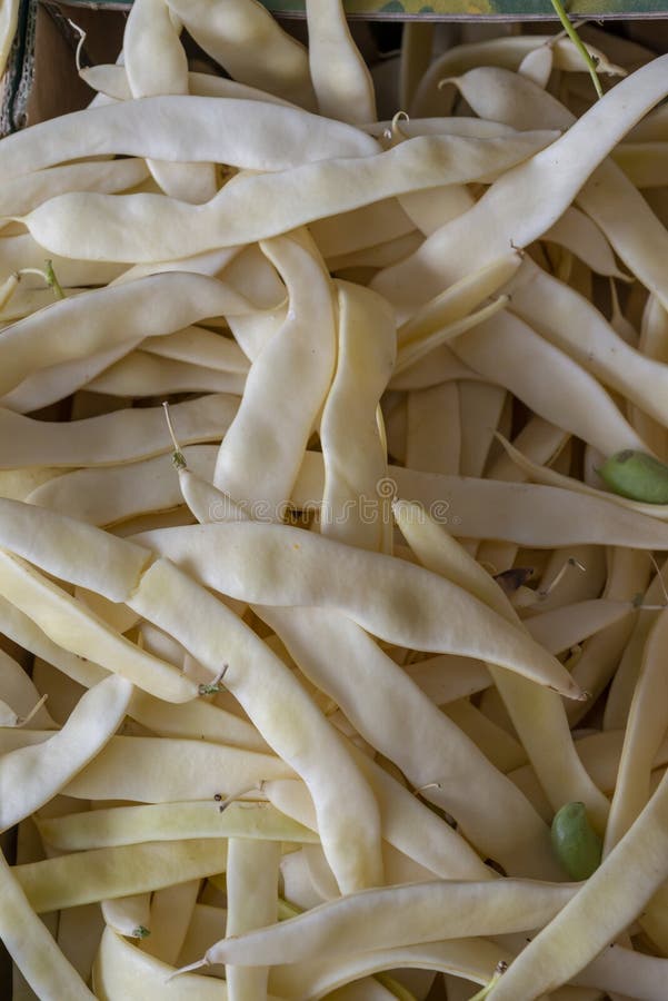 Hülsen der gelben Bohnen lizenzfreie stockfotos Hülsen der gelben Bohnen lizenzfreie stockfotos