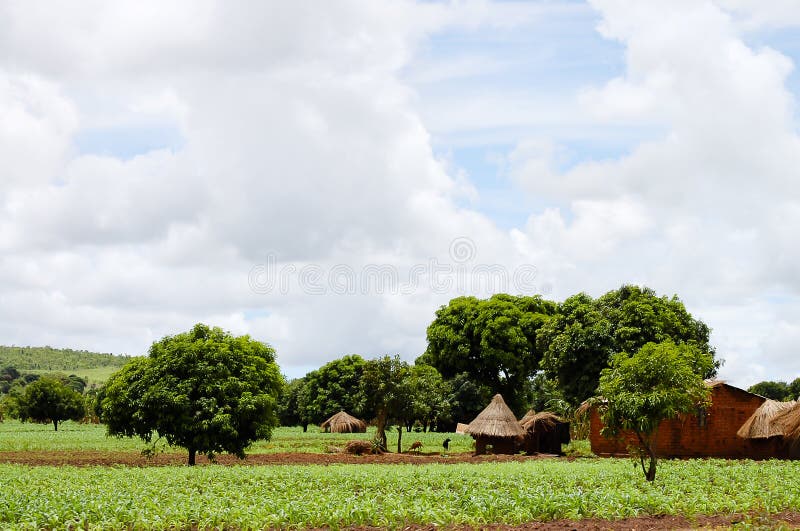 Hütten-Dorf - Sambia