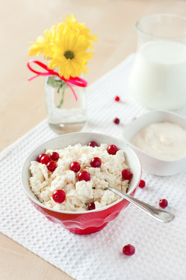 Hüttenkäse mit Moosbeere, Glas Milch und Sauerrahm lizenzfreies stockbild