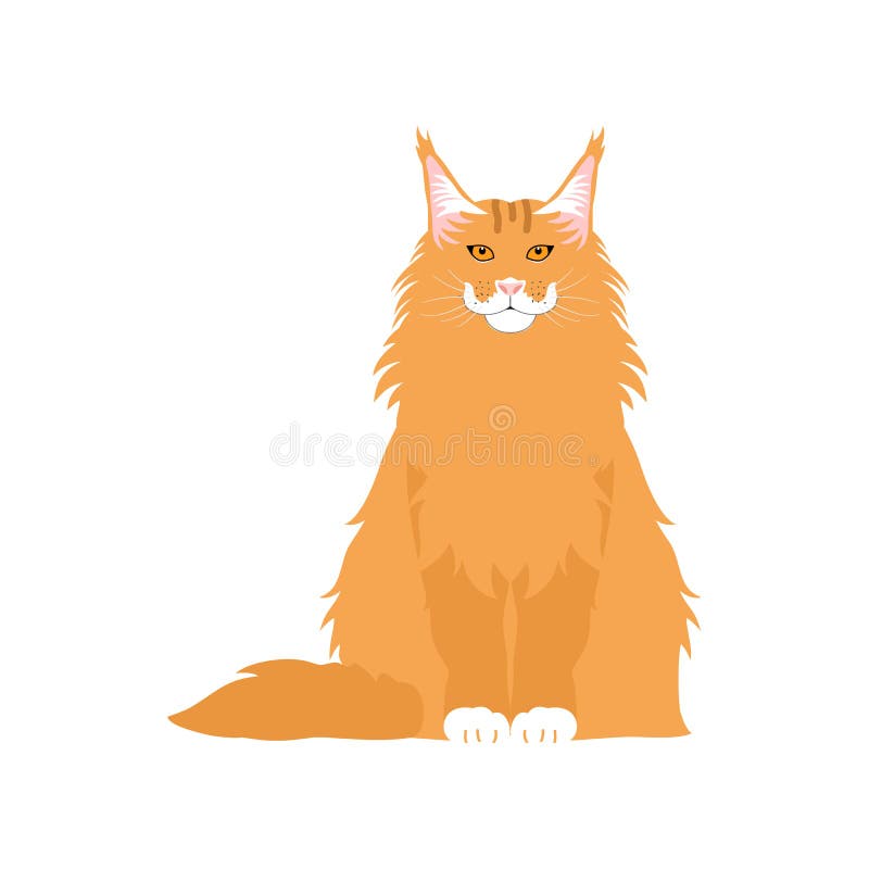 cat, kitten, pet, animal icon vector isolated symbol sign 15397569