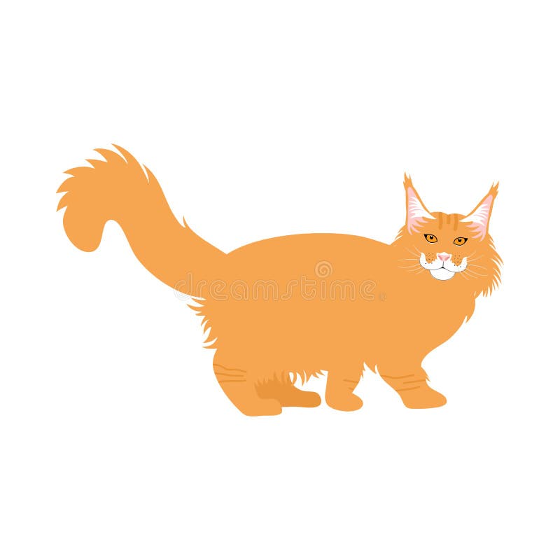 cat, kitten, pet, animal icon vector isolated symbol sign 15397569