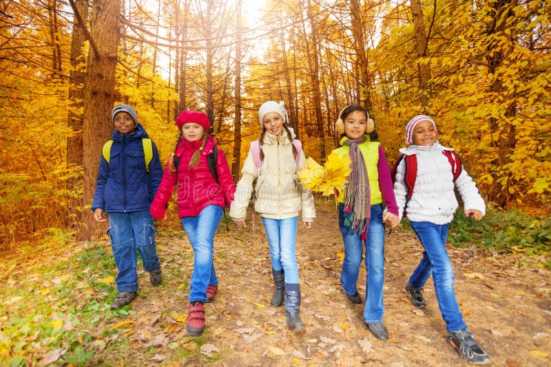 I bambini con il mazzo giallo delle foglie di acero camminano in foresta immagine stock I bambini con il mazzo giallo delle foglie di acero camminano in foresta immagine stock