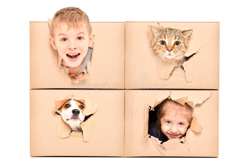 I bambini e gli animali domestici divertenti guarda da un foro lacerato in una scatola fotografia stock I bambini e gli animali domestici divertenti guarda da un foro lacerato in una scatola fotografia stock
