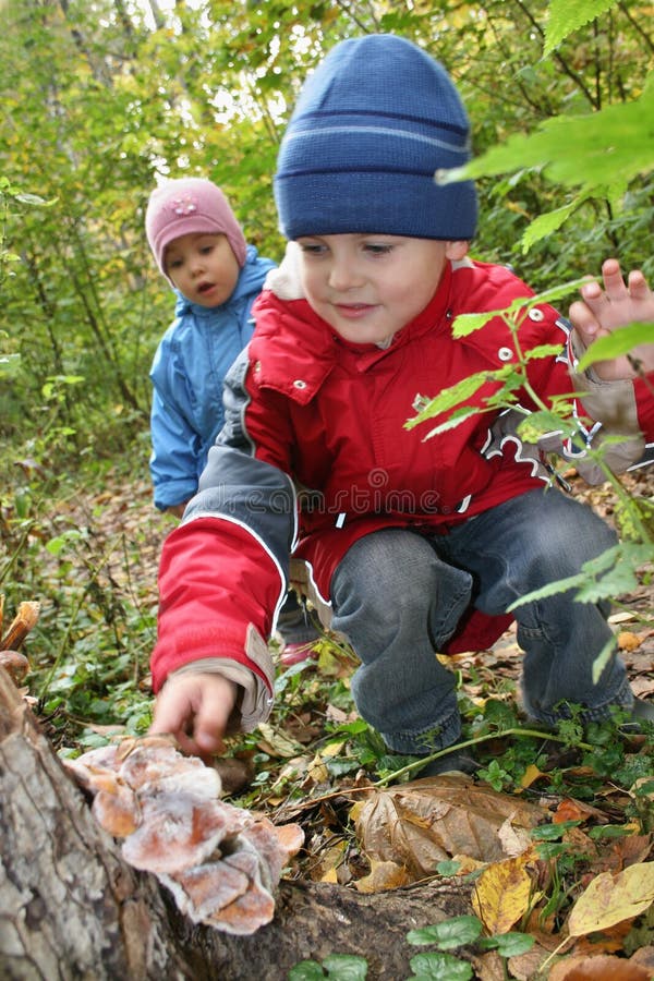 I bambini esplorano il fungo di mensola