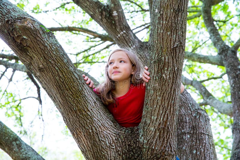 I bambini scherzano la ragazza che gioca la scalata ad un albero in un parco fotografia stock libera da diritti I bambini scherzano la ragazza che gioca la scalata ad un albero in un parco fotografia stock libera da diritti