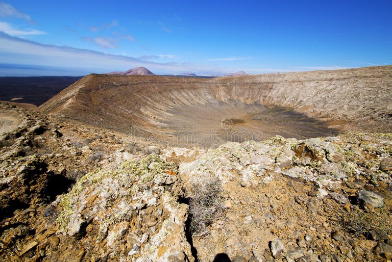 I buske för blomma för rt för timanfaya för los-volcanes vulkanisk arkivfoton I buske för blomma för rt för timanfaya för los-volcanes vulkanisk arkivfoton