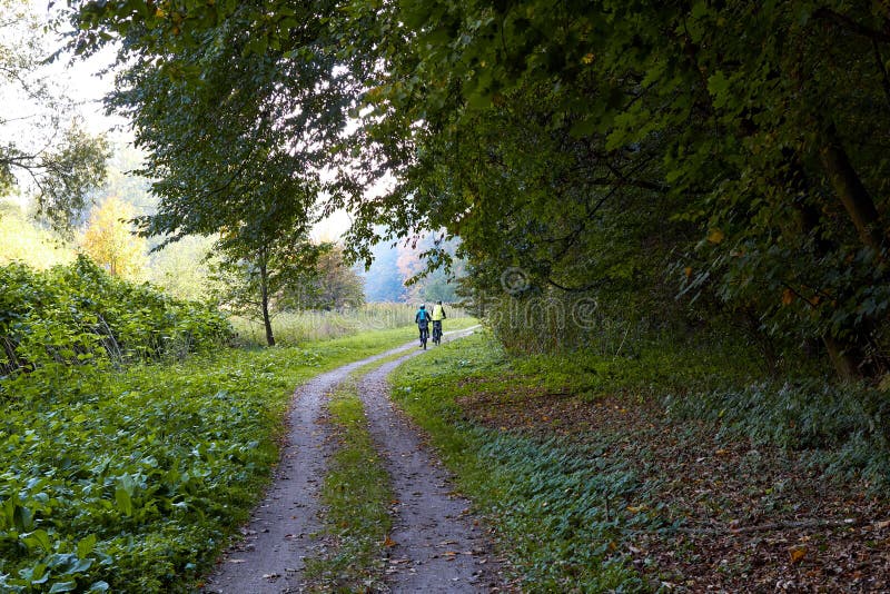 I ciclisti nella gente della foresta guidano le biciclette lungo il sentiero forestale Viaggio in bici attraverso il legno Guida immagine stock I ciclisti nella gente della foresta guidano le biciclette lungo il sentiero forestale Viaggio in bici attraverso il legno Guida immagine stock