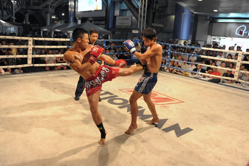 I combattenti fanno concorrenza in una corrispondenza di inscatolamento tailandese