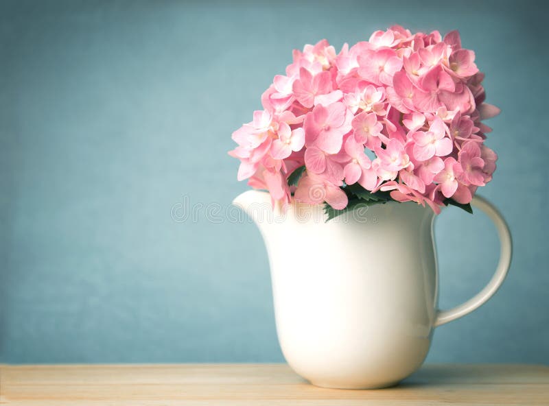 I fiori dell'ortensia del dolce in vaso bianco fotografia stock I fiori dell'ortensia del dolce in vaso bianco fotografia stock