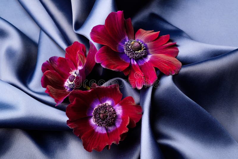 I fiori viola si trovano su un tessuto ondulato di seta brillante blu fotografia stock I fiori viola si trovano su un tessuto ondulato di seta brillante blu fotografia stock