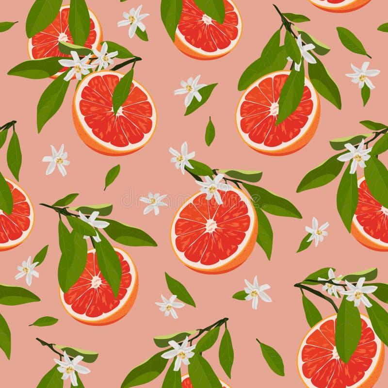 I frutti arancio affettano il modello senza cuciture con i fiori e le foglie su fondo rosa rosa Vettore degli agrumi del pompelmo royalty illustrazione gratis I frutti arancio affettano il modello senza cuciture con i fiori e le foglie su fondo rosa rosa Vettore degli agrumi del pompelmo royalty illustrazione gratis