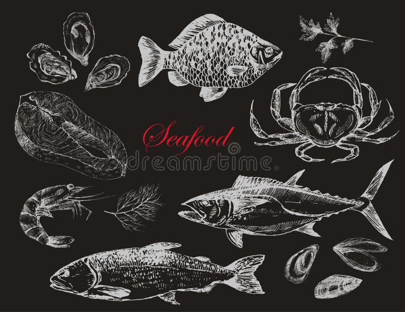 I frutti di mare disegnati a mano di vettore hanno messo - il gamberetto, il granchio, l'aragosta, il salmone, le ostriche, la co royalty illustrazione gratis I frutti di mare disegnati a mano di vettore hanno messo - il gamberetto, il granchio, l'aragosta, il salmone, le ostriche, la co royalty illustrazione gratis