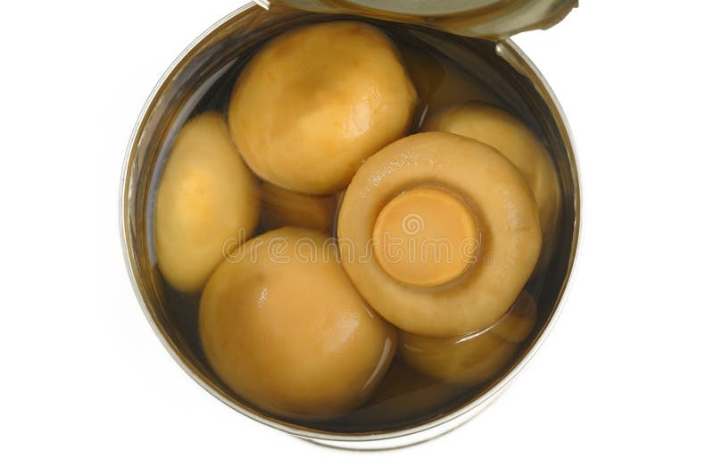 I funghi del fungo prataiolo dentro possono fotografia stock libera da diritti I funghi del fungo prataiolo dentro possono fotografia stock libera da diritti
