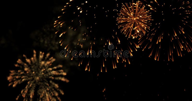 I fuochi d'artificio dorati della celebrazione della scintilla di lampeggiamento dell'estratto si accende su fondo nero, festa fe