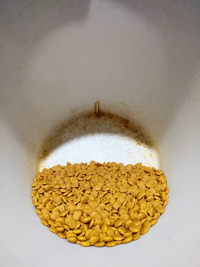 I gatti mangiano in un secchio immagine stock