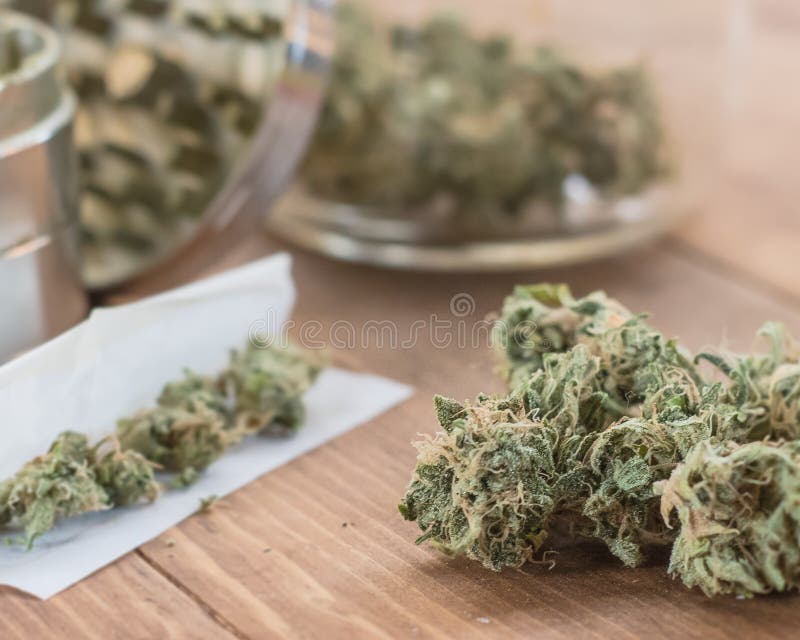 I germogli della marijuana su si chiudono con unito fotografia stock libera da diritti I germogli della marijuana su si chiudono con unito fotografia stock libera da diritti