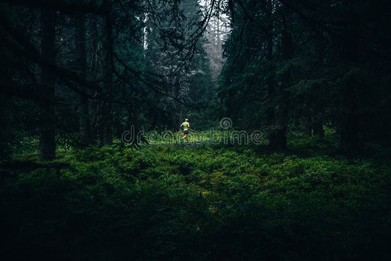 I grön skog som rinner i regn. idrott. spårgång fotografering för bildbyråer