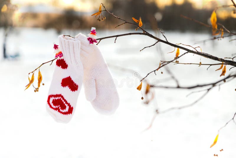 I guanti bianchi con la decorazione rossa dei cuori stanno appendendo su un ramo di albero immagine stock libera da diritti I guanti bianchi con la decorazione rossa dei cuori stanno appendendo su un ramo di albero immagine stock libera da diritti