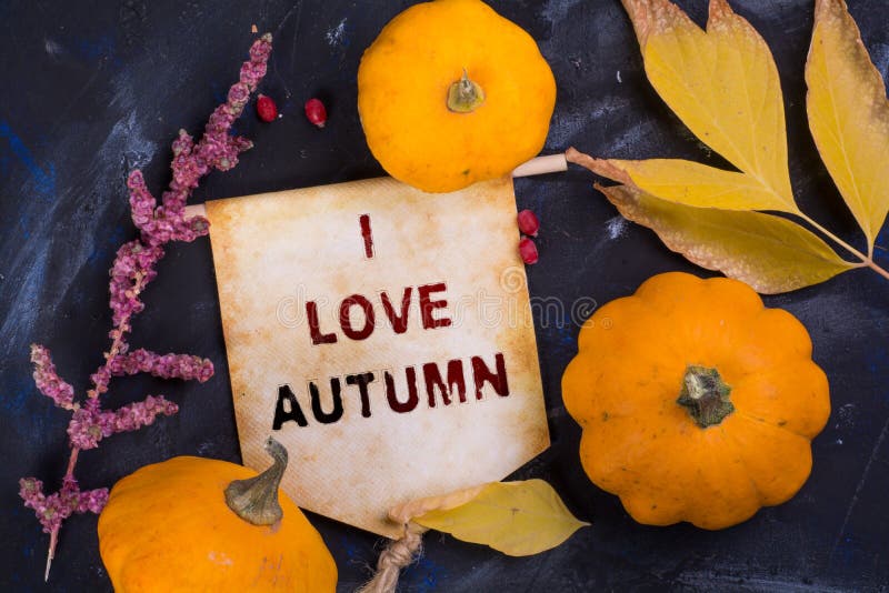 I love autumn stock photo I love autumn stock photo