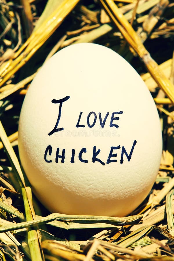 Chicken love stock image. Image of female, attractive 23062545