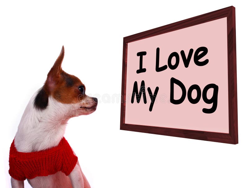 I Love My Dog Sign Showing Loving Adorable Friendship stock image I Love My Dog Sign Showing Loving Adorable Friendship stock image