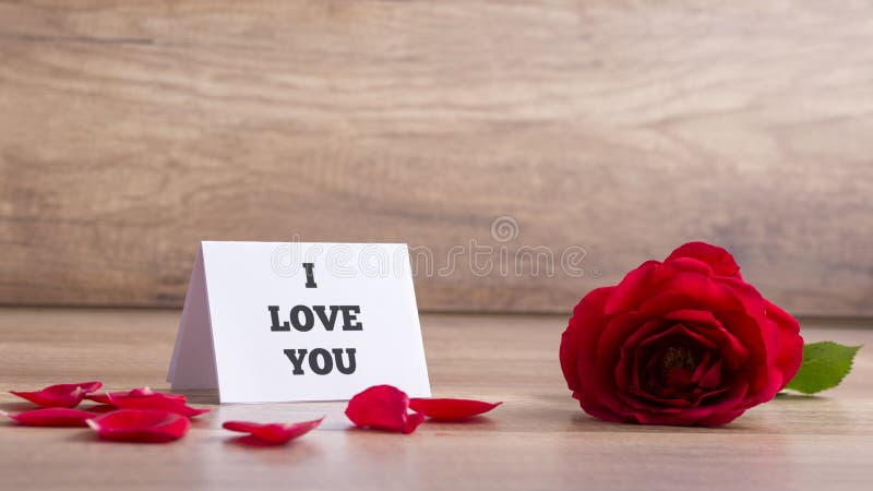 1 1 I Love You Rose Photos Free Royalty Free Stock Photos From Dreamstime