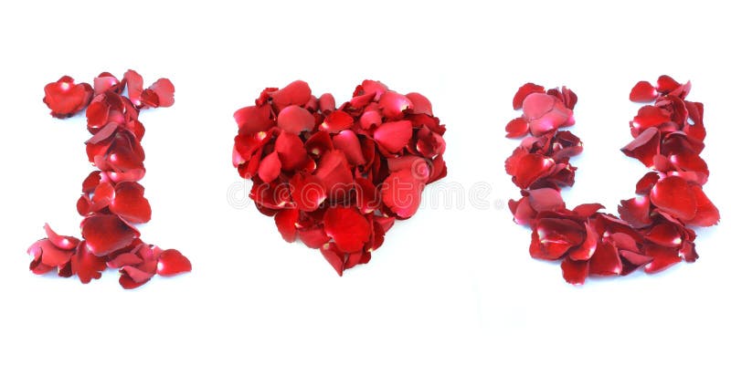 I Love You Made by Red Rose Isolated on White Background Stock ...