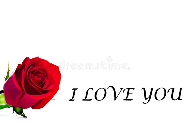 2,054 I Love You Rose Stock Photos - Free & Royalty-Free Stock Photos from  Dreamstime