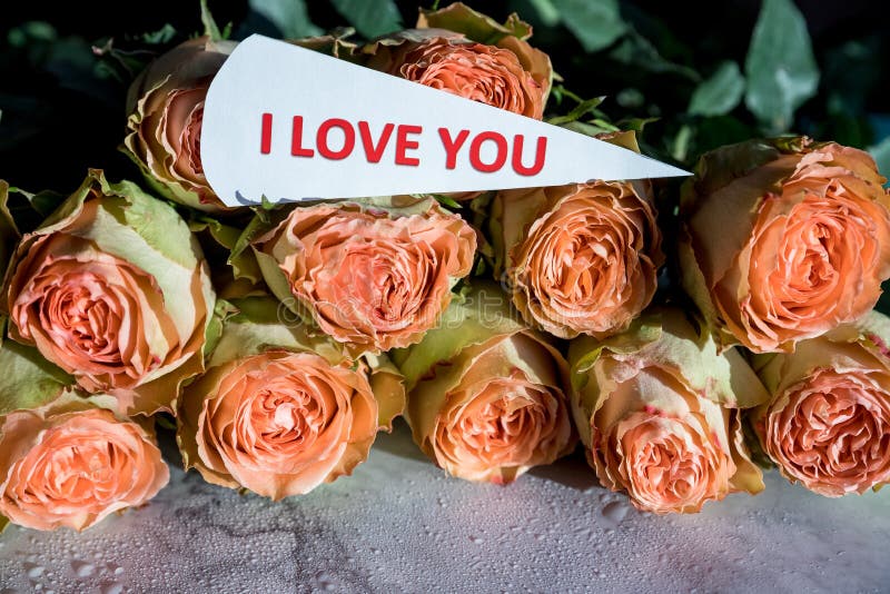 I Love You Text ,greeting Card Paper Note. Delicate Orange Roses on Marble Background. Minimal Trendy Composition Stock Photo - Image of text, decoration: 240869272 I Love You Text ,greeting Card Paper Note. Delicate Orange Roses on Marble Background. Minimal Trendy Composition Stock Photo - Image of text, decoration: 240869272