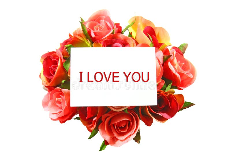2,054 I Love You Rose Stock Photos - Free & Royalty-Free Stock Photos from Dreamstime 2,054 I Love You Rose Stock Photos - Free & Royalty-Free Stock Photos from Dreamstime