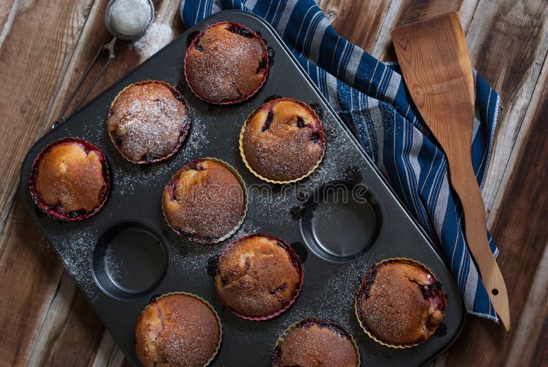 I muffin della bacca hanno completato con lo zucchero in polvere su un di legno fotografia stock libera da diritti I muffin della bacca hanno completato con lo zucchero in polvere su un di legno fotografia stock libera da diritti