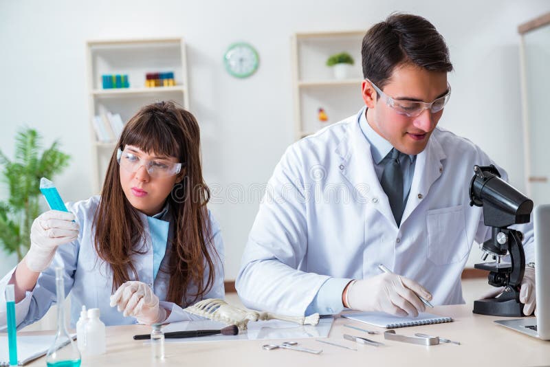 I paleontologi che esaminano le ossa degli animali estinti immagini stock libere da diritti I paleontologi che esaminano le ossa degli animali estinti immagini stock libere da diritti