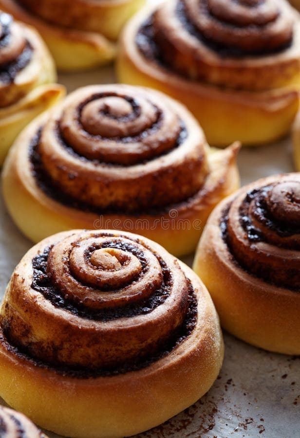 I panini di cannella rotola con le spezie ed il materiale da otturazione del cacao Pasticceria casalinga dolce di cottura di nata fotografie stock libere da diritti I panini di cannella rotola con le spezie ed il materiale da otturazione del cacao Pasticceria casalinga dolce di cottura di nata fotografie stock libere da diritti