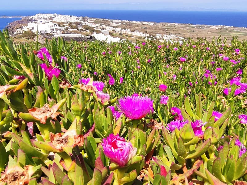 I posti più belli in grecia sull'isola di santorini. L'isola di santorini è il posto migliore dell'isola. le più belle visioni dell'isola.