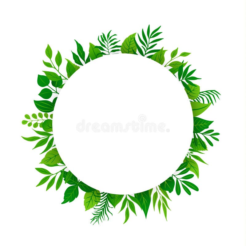 I ramoscelli dei rami delle foglie verdi della molla dell'estate pianta la struttura rotonda del cerchio della pianta del fogliam