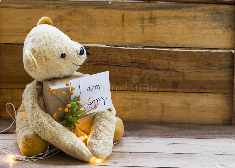 i am sorry teddy