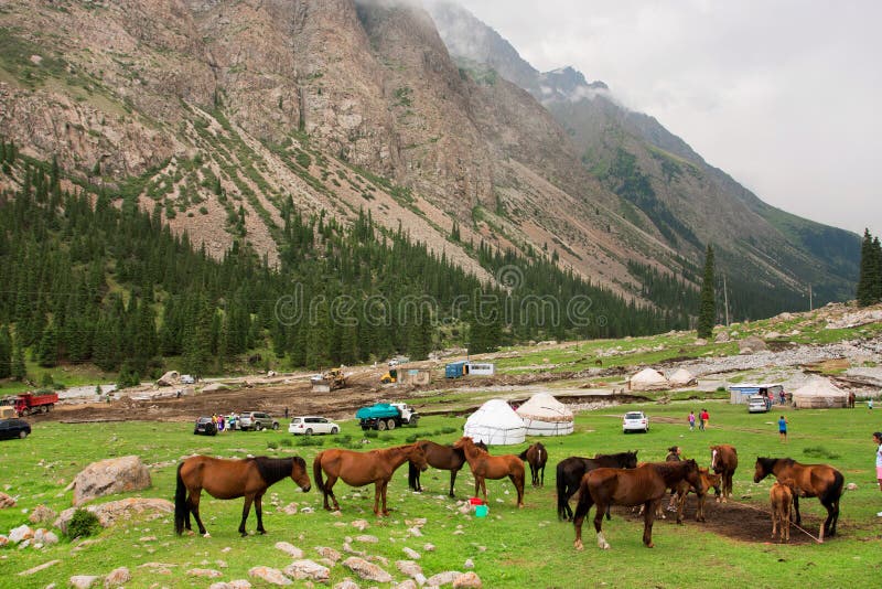 I turisti si fermano per un picnic vicino ai cavalli di pascolo in una valle della montagna dell'Asia centrale immagini stock I turisti si fermano per un picnic vicino ai cavalli di pascolo in una valle della montagna dell'Asia centrale immagini stock