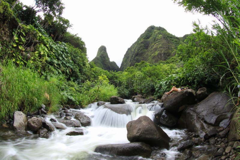 A river running through a lush green forest photo – Free Iao valley Image  on Unsplash