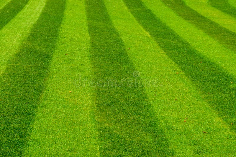 Iarbă verde gazon cosit într-un tipar dungat decorativ tip iarbă grădinărit și întreținere grădină royalty free stock photos