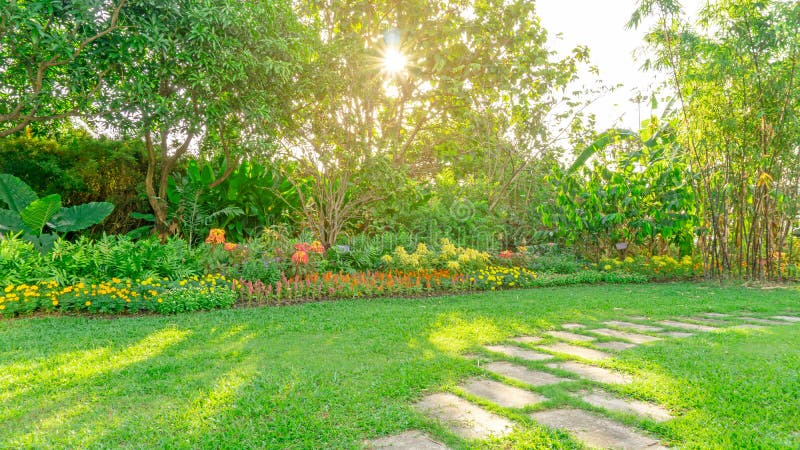 Iarbă verde gazon într-o grădină cu model aleatoriu de piatră de temelie gri din beton și arbuști de plantă și arbori din curtea d royalty free stock images