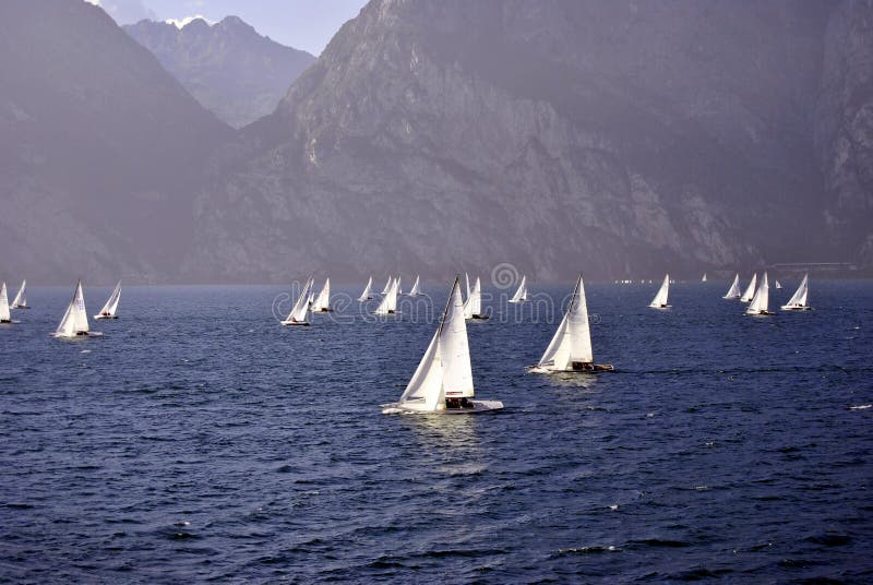 The sailing yachts compete in speed. The sailing yachts compete in speed