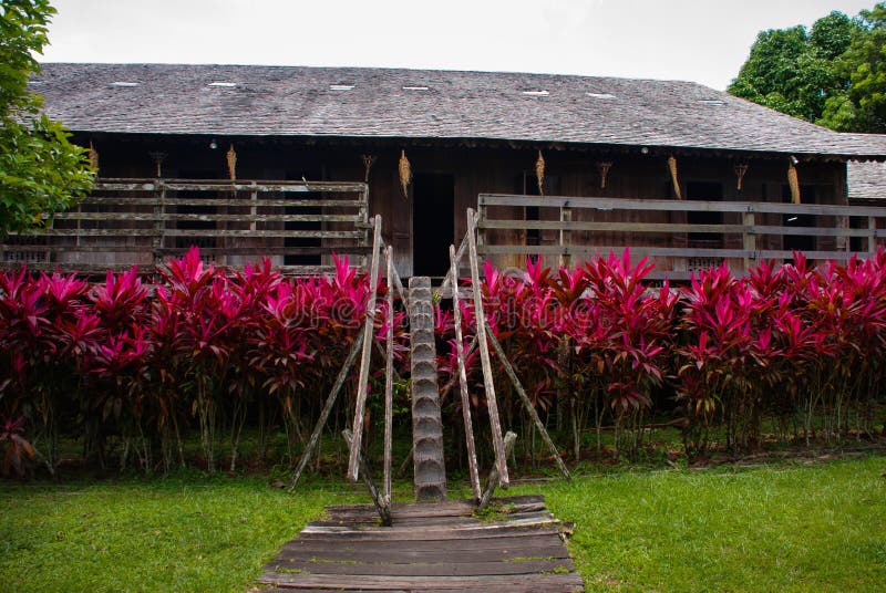 Traditional wooden houses and bushes of red color. Iban longhouse Kuching to Sarawak Culture village. Malaysia