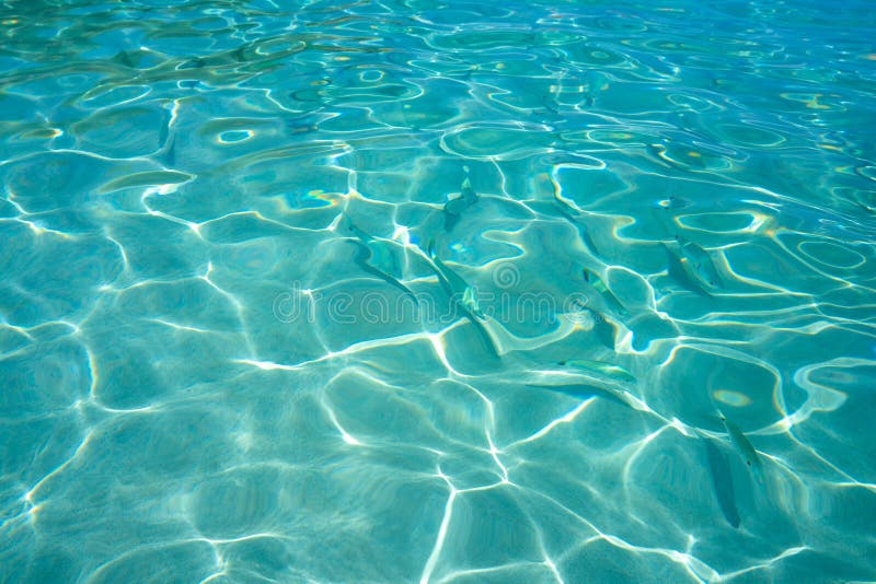 Ibiza Portinatx Arenal Petit strand i Balearics fotografering för bildbyråer Ibiza Portinatx Arenal Petit strand i Balearics fotografering för bildbyråer