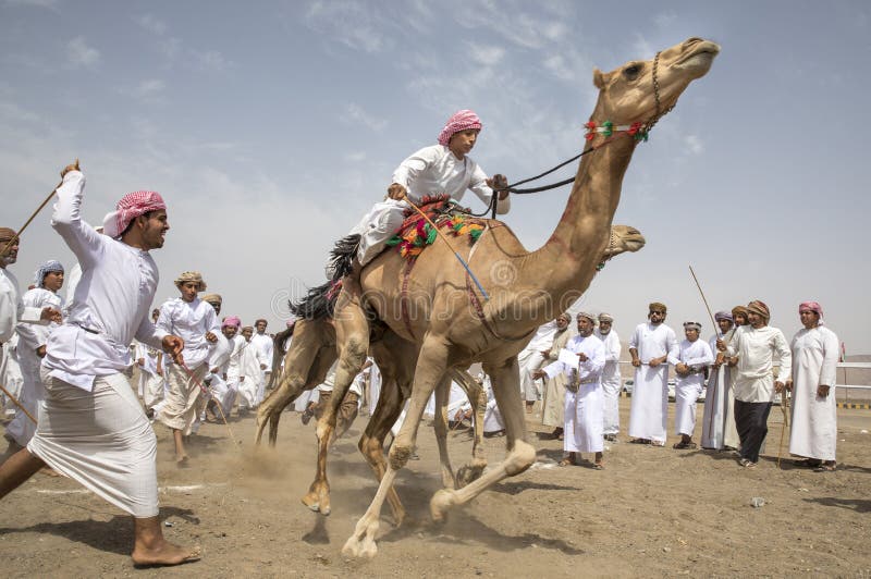 Men on camels at the start of a race stock images Men on camels at the start of a race stock images